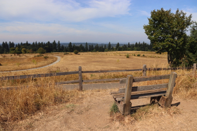Bench on natural surface with great view off Mountain View Trail